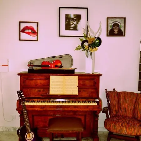 Il Vinile
