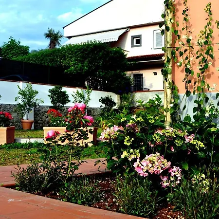 Il Vinile Bed & Breakfast