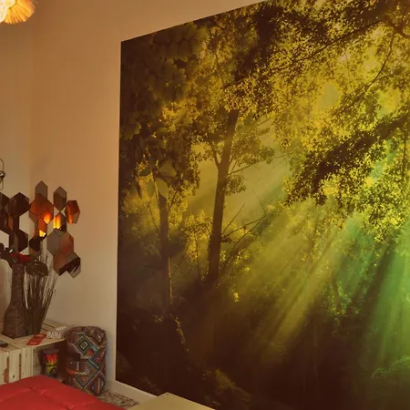 Il Vinile Bed & Breakfast Carrara